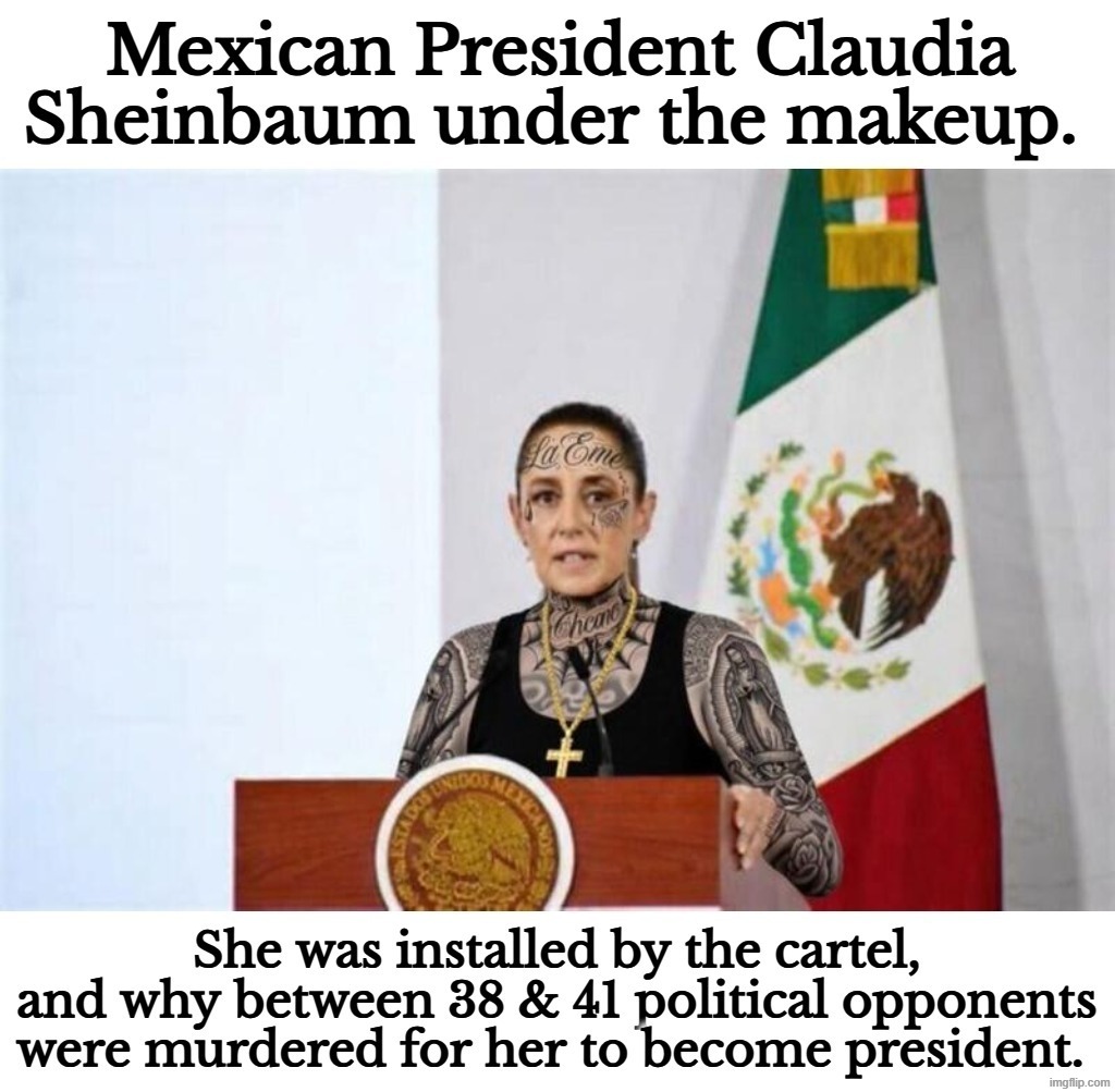 Mexican President Claudia Sheinbaum under the makeup. | image tagged in mexican word of the day,cartels,succesful mexican,presidential alert,happy mexican,government corruption | made w/ Imgflip meme maker