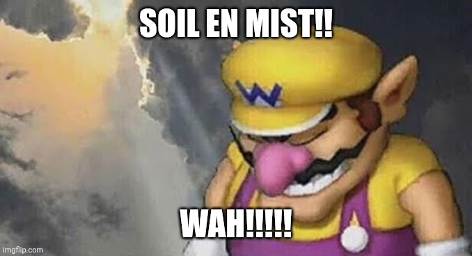 SOIL EN MIST!! WAH!!!!! | image tagged in sad wario original | made w/ Imgflip meme maker