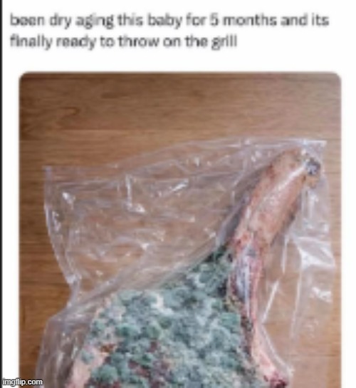 image tagged in shitpost | made w/ Imgflip meme maker