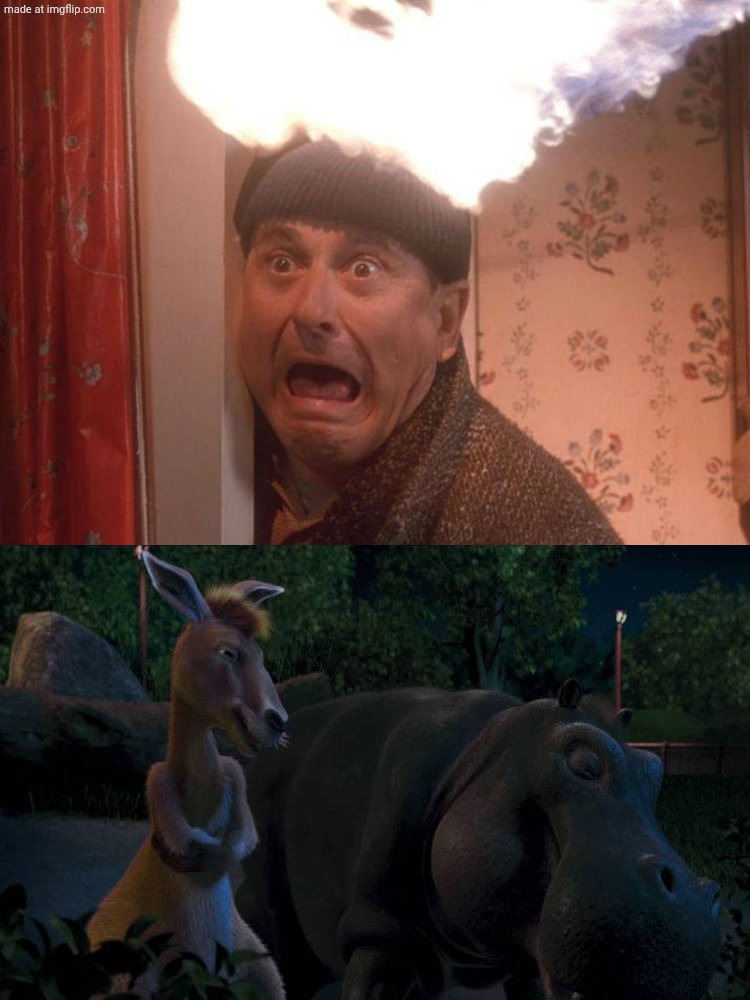 Duke and Eze laugh at Harry's head on fire | image tagged in duke and eze laugh at what,deviantart,crossover,disney,20th century fox,home alone | made w/ Imgflip meme maker