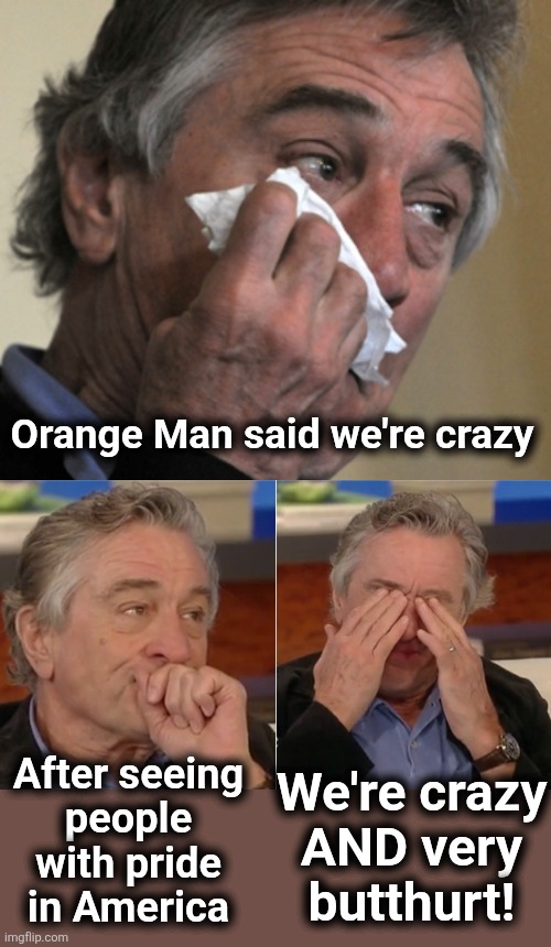 Deranged De Niro | Orange Man said we're crazy; After seeing
people with pride
in America; We're crazy
AND very
butthurt! | image tagged in memes,democrats,insanity,trump derangement syndrome,robert de niro,butt hurt | made w/ Imgflip meme maker