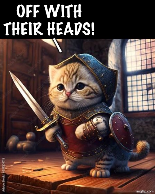 OFF WITH 
THEIR HEADS! 
   \ | made w/ Imgflip meme maker