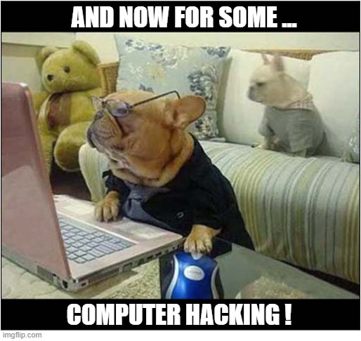 Never Leave Your Dog With An Unattended Laptop ! | AND NOW FOR SOME ... COMPUTER HACKING ! | image tagged in dogs,laptop,hacking | made w/ Imgflip meme maker