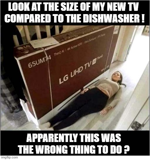 What Is Wrong With Some People ? | LOOK AT THE SIZE OF MY NEW TV
 COMPARED TO THE DISHWASHER ! APPARENTLY THIS WAS THE WRONG THING TO DO ? | image tagged in chauvinistic,size,comparison,tv,dishwasher | made w/ Imgflip meme maker