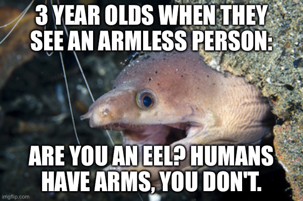 i saw a youtube short like this before, thought i'd recreate it. | 3 YEAR OLDS WHEN THEY SEE AN ARMLESS PERSON:; ARE YOU AN EEL? HUMANS HAVE ARMS, YOU DON'T. | image tagged in happy eel | made w/ Imgflip meme maker