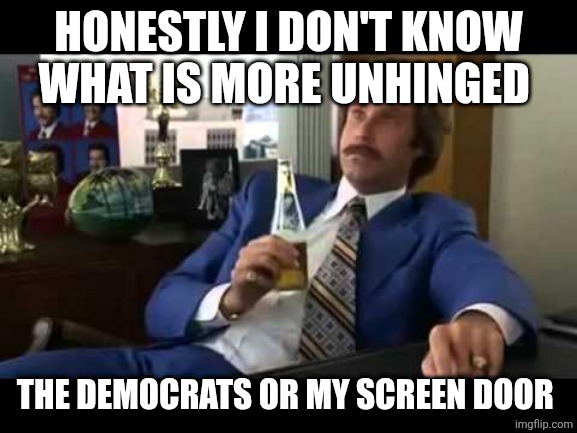 Well That Escalated Quickly Meme | HONESTLY I DON'T KNOW WHAT IS MORE UNHINGED; THE DEMOCRATS OR MY SCREEN DOOR | image tagged in memes,well that escalated quickly | made w/ Imgflip meme maker