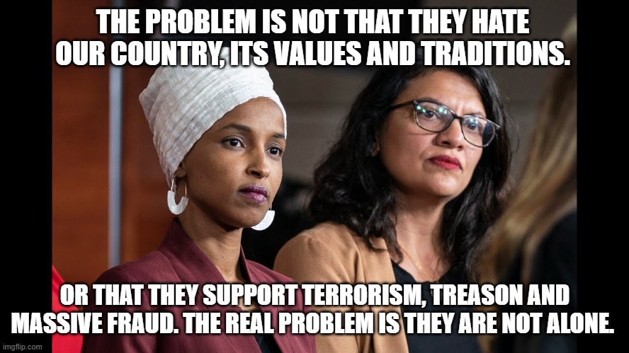 The enemy is inside the gate | THE PROBLEM IS NOT THAT THEY HATE OUR COUNTRY, ITS VALUES AND TRADITIONS. OR THAT THEY SUPPORT TERRORISM, TREASON AND MASSIVE FRAUD. THE REAL PROBLEM IS THEY ARE NOT ALONE. | image tagged in omar tlaib,insider threat,treason,islamic terrorism,they are legion,democrat war on america | made w/ Imgflip meme maker