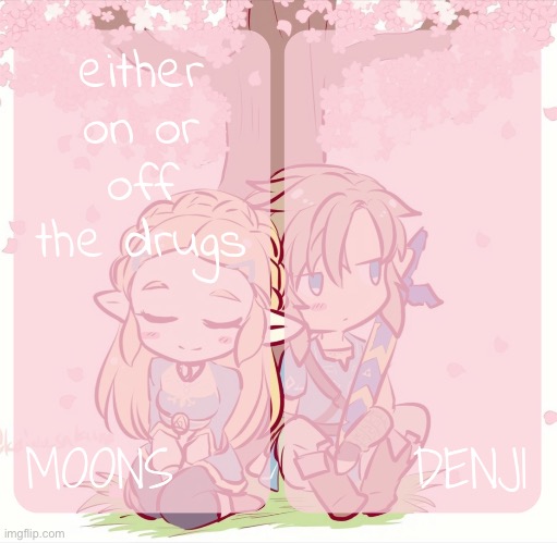 moons and denji - zelda n link temp | either on or off the drugs | image tagged in moons and denji - zelda n link temp | made w/ Imgflip meme maker