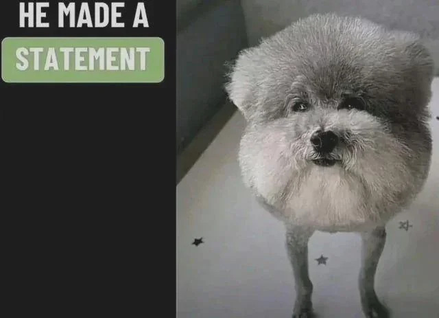 He made a Statement Blank Meme Template