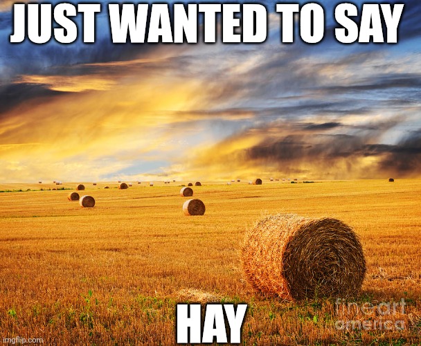 Just Wanted To Say Hay | JUST WANTED TO SAY; HAY | image tagged in chrisjoines1 | made w/ Imgflip meme maker