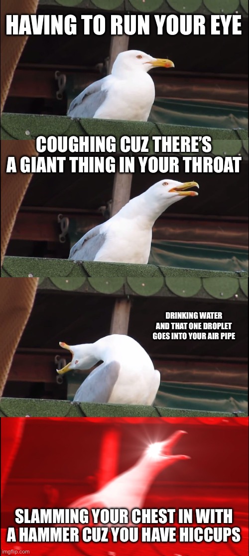 Different ways of annoyance | HAVING TO RUN YOUR EYE; COUGHING CUZ THERE’S A GIANT THING IN YOUR THROAT; DRINKING WATER AND THAT ONE DROPLET GOES INTO YOUR AIR PIPE; SLAMMING YOUR CHEST IN WITH A HAMMER CUZ YOU HAVE HICCUPS | image tagged in memes,inhaling seagull | made w/ Imgflip meme maker