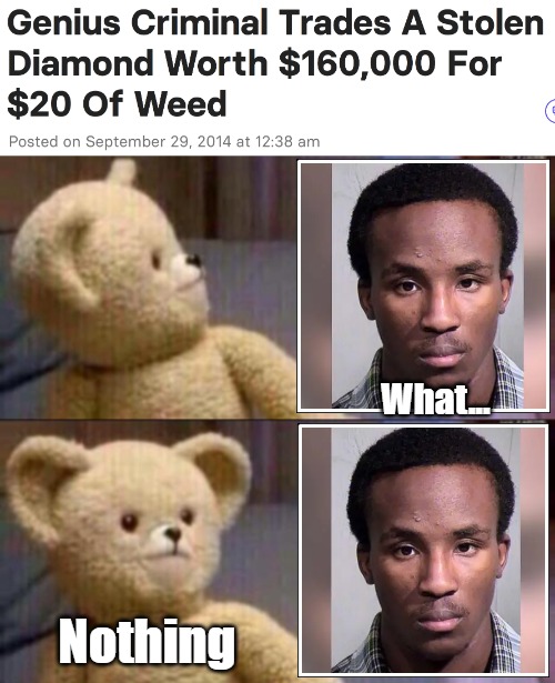 I wonder to what extent Somalis brings down the African IQ average. They're also immensely high on Islamism | image tagged in funny,crime,shocked bear | made w/ Imgflip meme maker