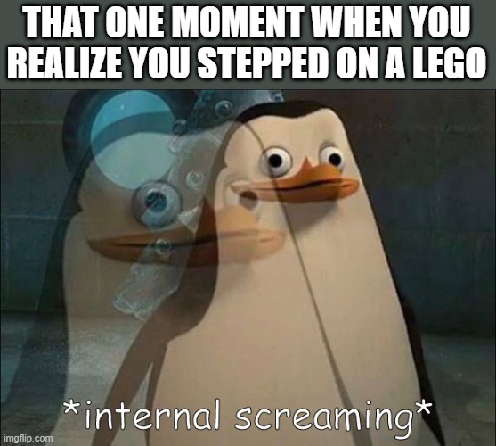 AAAAAAAAAAAAAAAAAAAAAAAAAAAAAAAAAAAAAAAAAAAAAAAAA | THAT ONE MOMENT WHEN YOU REALIZE YOU STEPPED ON A LEGO | image tagged in private internal screaming,memes,funny,relatable,funny memes,stepping on a lego | made w/ Imgflip meme maker
