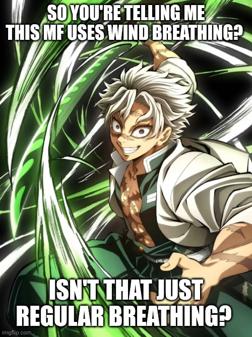 Demon Slayer Sanemi Shinazugawa | SO YOU'RE TELLING ME THIS MF USES WIND BREATHING? ISN'T THAT JUST REGULAR BREATHING? | image tagged in demon slayer sanemi shinazugawa,wind breathing,demon slayer,kimetsu no yaiba,sanemi shinazugawa | made w/ Imgflip meme maker