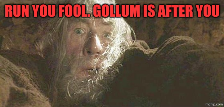 Gandalf Fly You Fools | RUN YOU FOOL. GOLLUM IS AFTER YOU | image tagged in gandalf fly you fools | made w/ Imgflip meme maker
