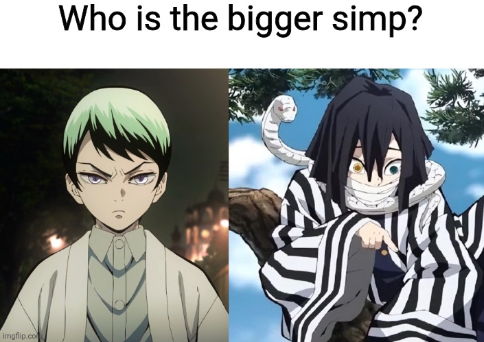 Let's see | Who is the bigger simp? | image tagged in demon slayer,kimetsu no yaiba,yushiro,obanai iguro,simps | made w/ Imgflip meme maker