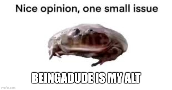 Nice opinion, one small issue | BEINGADUDE IS MY ALT | image tagged in nice opinion one small issue | made w/ Imgflip meme maker