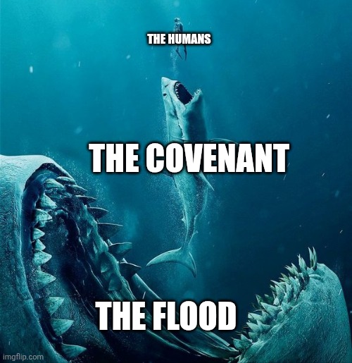 Halo in a Nutshell | THE HUMANS; THE COVENANT; THE FLOOD | image tagged in always a bigger shark | made w/ Imgflip meme maker