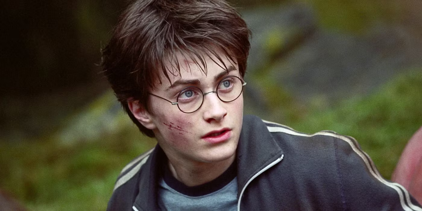 HARRY POTTER NO WITCHES? Blank Meme Template