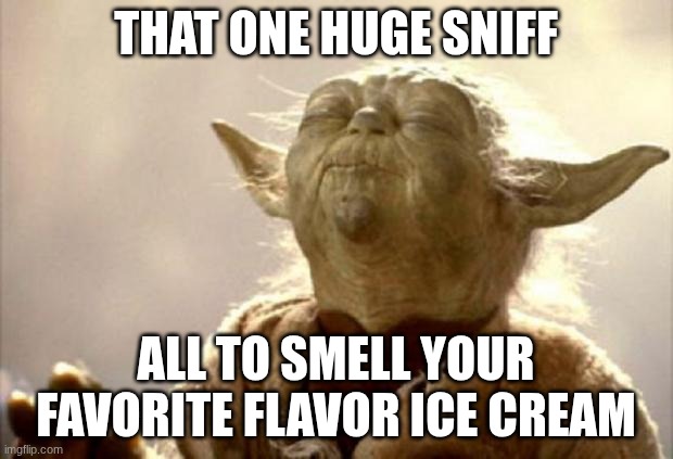 yoda smell | THAT ONE HUGE SNIFF; ALL TO SMELL YOUR FAVORITE FLAVOR ICE CREAM | image tagged in yoda smell | made w/ Imgflip meme maker