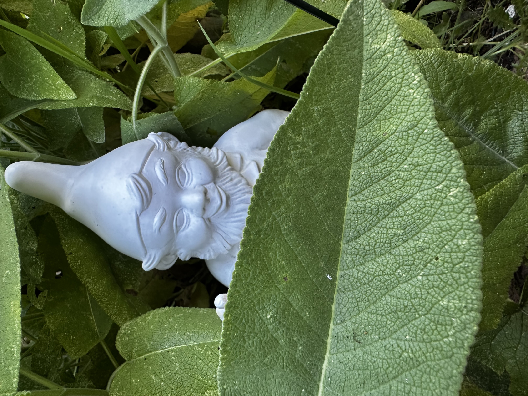 Weird gnome Blank Meme Template