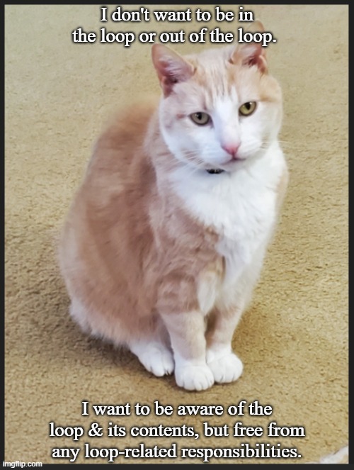 In the loop | I don't want to be in the loop or out of the loop. I want to be aware of the loop & its contents, but free from any loop-related responsibilities. | image tagged in cats | made w/ Imgflip meme maker