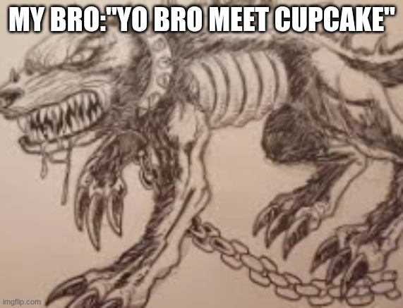 yo bro meet cupcake' | MY BRO:"YO BRO MEET CUPCAKE" | image tagged in dog | made w/ Imgflip meme maker