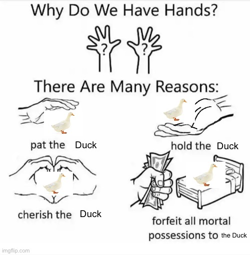 Duck is god | Duck; Duck; Duck; the Duck | image tagged in why do we have hands all blank | made w/ Imgflip meme maker