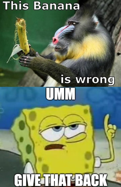 image tagged in i'll have you know spongebob,funny,dirty mind | made w/ Imgflip meme maker