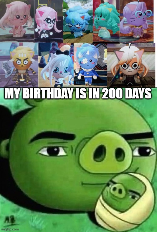 Ruin This Fill In Meme!!!!!!!!!!!!!!!!!!!!!!!!!!!!!!!!!!!!! #517 | MY BIRTHDAY IS IN 200 DAYS | image tagged in ruin this fill in meme 517 | made w/ Imgflip meme maker