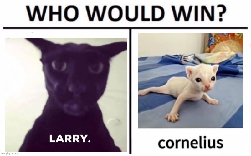Who Would Win? Meme | image tagged in memes,who would win | made w/ Imgflip meme maker