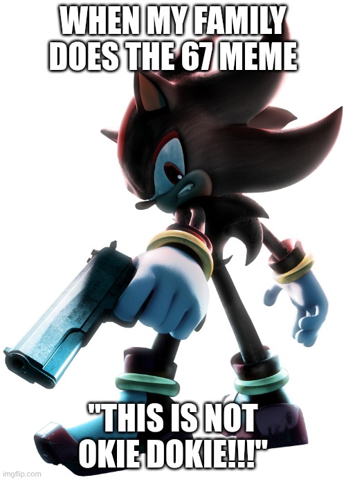 When my family does the 67 meme | WHEN MY FAMILY DOES THE 67 MEME; "THIS IS NOT OKIE DOKIE!!!" | image tagged in shadow the hedgehog,gun,67 | made w/ Imgflip meme maker