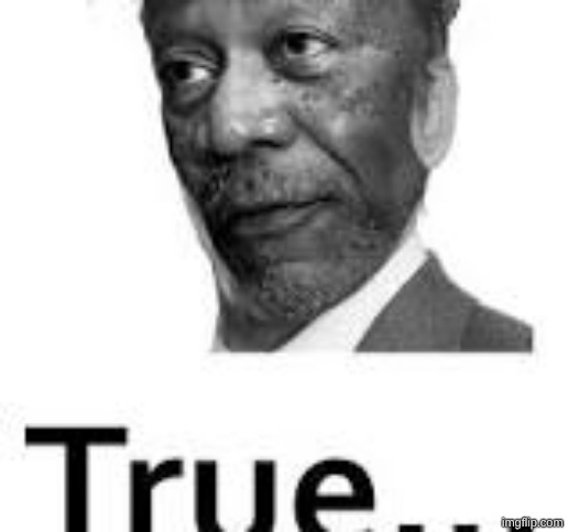 true... | image tagged in true | made w/ Imgflip meme maker