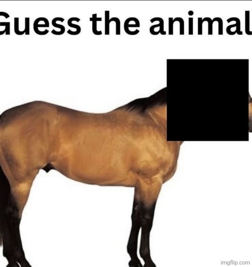 extremely hard, 99.99% harvard students cannot tell | made w/ Imgflip meme maker