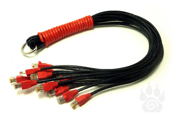 cat-5e-o-nine-tails Blank Meme Template