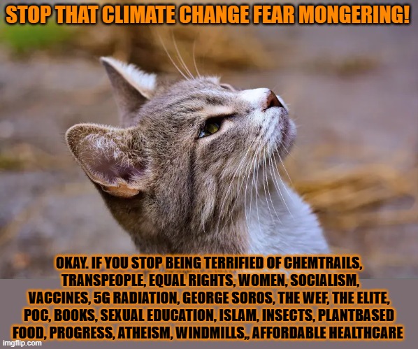 This #lolcat wonders why hoo-mens who claim not to fear anything are often terrified | STOP THAT CLIMATE CHANGE FEAR MONGERING! OKAY. IF YOU STOP BEING TERRIFIED OF CHEMTRAILS,
 TRANSPEOPLE, EQUAL RIGHTS, WOMEN, SOCIALISM, VACCINES, 5G RADIATION, GEORGE SOROS, THE WEF, THE ELITE, POC, BOOKS, SEXUAL EDUCATION, ISLAM, INSECTS, PLANTBASED FOOD, PROGRESS, ATHEISM, WINDMILLS,, AFFORDABLE HEALTHCARE | image tagged in fear,hypocrite,afraid,scared,lolcat | made w/ Imgflip meme maker
