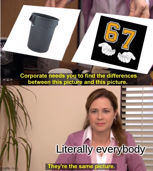 They're The Same Picture Meme | Literally everybody | image tagged in memes,they're the same picture | made w/ Imgflip meme maker