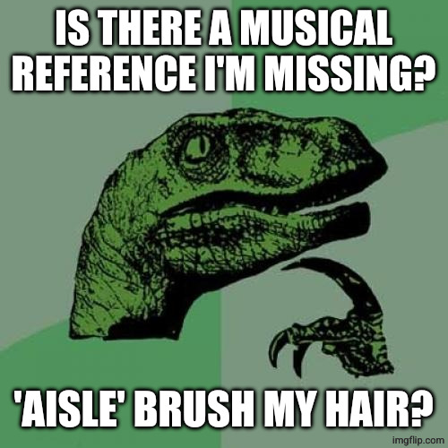 Philosoraptor Meme | IS THERE A MUSICAL REFERENCE I'M MISSING? 'AISLE' BRUSH MY HAIR? | image tagged in memes,philosoraptor | made w/ Imgflip meme maker
