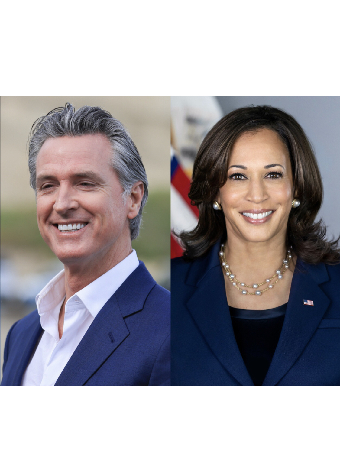 newsom harris Blank Meme Template