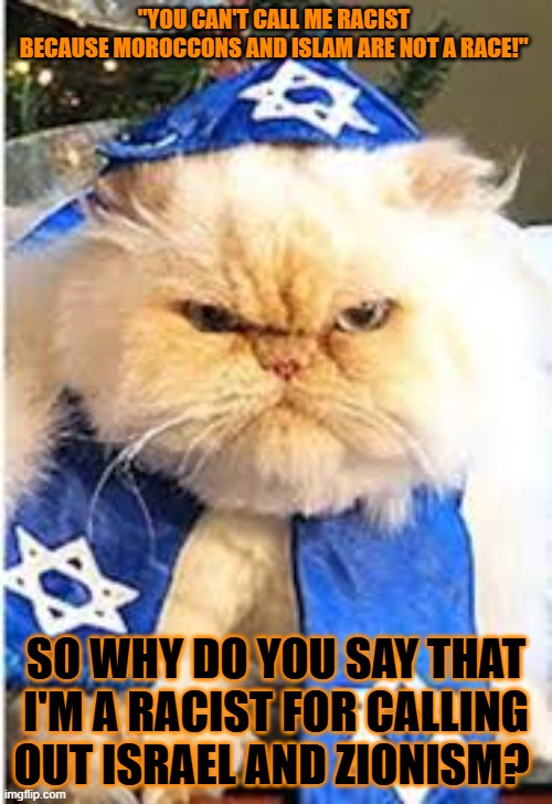 This #lolcat wonders how hoo-mans define racism | "YOU CAN'T CALL ME RACIST 
BECAUSE MOROCCONS AND ISLAM ARE NOT A RACE!"; SO WHY DO YOU SAY THAT I'M A RACIST FOR CALLING OUT ISRAEL AND ZIONISM? | image tagged in racism,zionism,words,lolcat | made w/ Imgflip meme maker