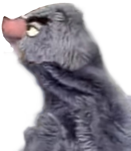 Kermit The Grof Blank Meme Template