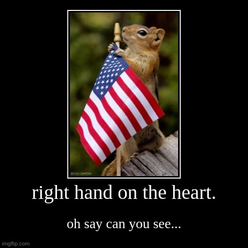 patriotic squirrel | right hand on the heart. | oh say can you see... | image tagged in funny,demotivationals | made w/ Imgflip demotivational maker