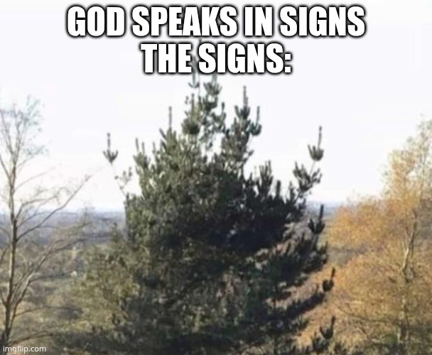 Tree giving the finger | GOD SPEAKS IN SIGNS
THE SIGNS: | image tagged in tree giving the finger | made w/ Imgflip meme maker