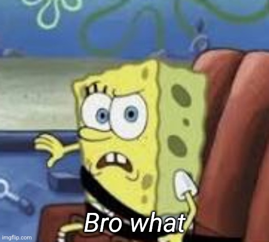 bro what | Bro what | image tagged in bro what | made w/ Imgflip meme maker