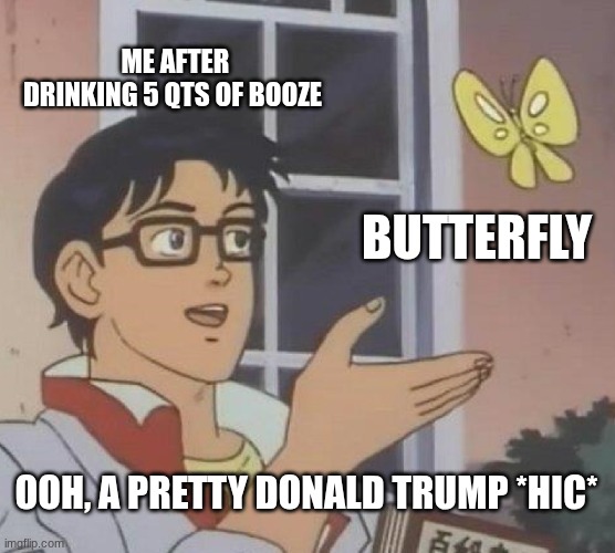 Is This A Pigeon Meme | ME AFTER DRINKING 5 QTS OF BOOZE; BUTTERFLY; OOH, A PRETTY DONALD TRUMP *HIC* | image tagged in memes,is this a pigeon | made w/ Imgflip meme maker