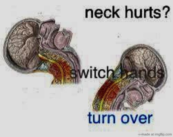 Neck Hurts | image tagged in neck hurts | made w/ Imgflip meme maker