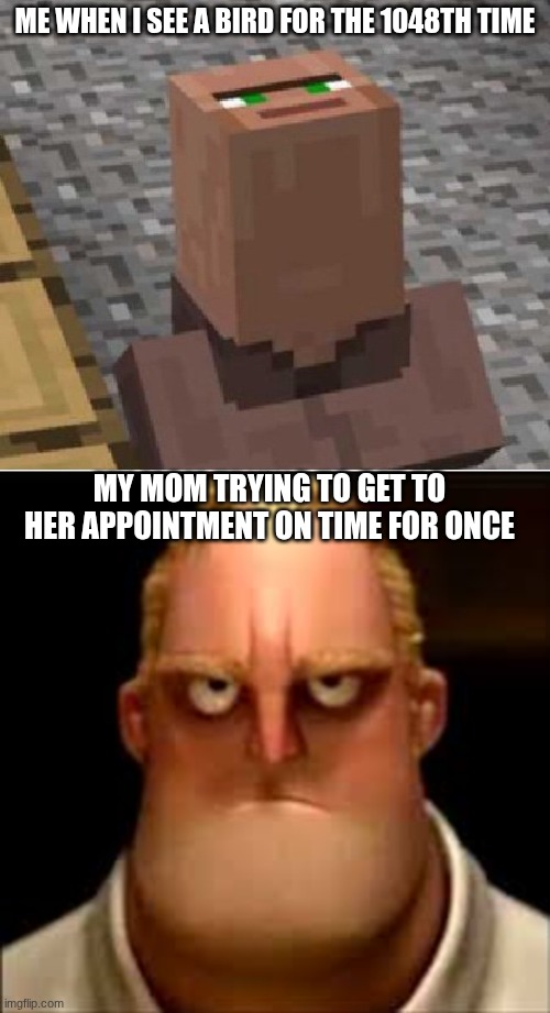 ME WHEN I SEE A BIRD FOR THE 1048TH TIME; MY MOM TRYING TO GET TO HER APPOINTMENT ON TIME FOR ONCE | image tagged in minecraft villager looking up | made w/ Imgflip meme maker