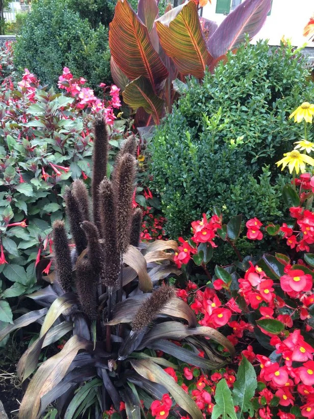 Garden Blank Meme Template