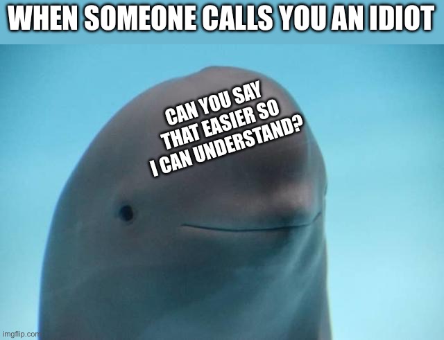 Professional Ragebater | WHEN SOMEONE CALLS YOU AN IDIOT; CAN YOU SAY THAT EASIER SO I CAN UNDERSTAND? | image tagged in smiling dolphin | made w/ Imgflip meme maker