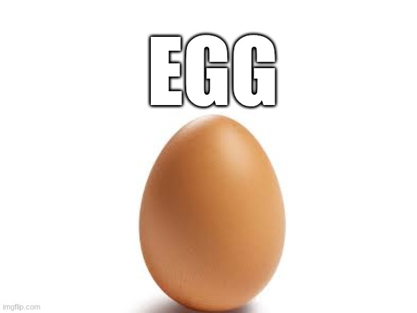 no context | EGG | image tagged in meme,no context | made w/ Imgflip meme maker